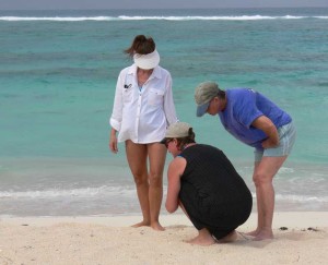 BVI Yacht Charters